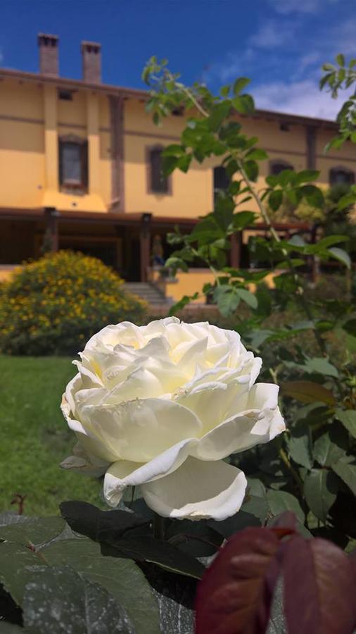 Boma Countryhouse Casale Bufalotta Bagian luar foto